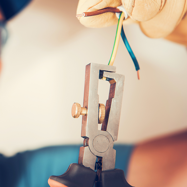 Job Details for Plant Equipment and Equipment